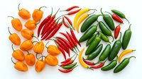 Assorted hot chili peppers in orange, red, and green varieties arranged on white background, ready for culinary, food styling, and recipe design projects.