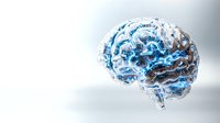 Digital brain with blue circuit patterns and technological elements on white background for artificial intelligence and neuroscience concepts.