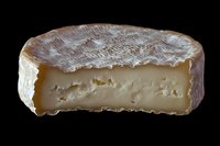 Creamy French brie cheese wheel cut in half showing soft interior texture and white mold rind against dark background, food photography for gastronomy.