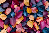 Vibrant autumn leaves in pink, blue, yellow and burgundy colors create natural pattern background, seasonal foliage composition for design and decoration.