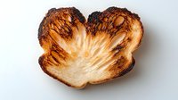 Slice of burnt toast bread in butterfly shape on white background, charred edges and golden brown center creating artistic food photography composition.
