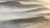 Windswept sand dunes with flowing patterns and soft golden light creating natural desert landscape with smooth curves and shadows.