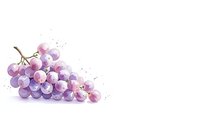 Watercolor purple grapes cluster with splashes isolated on white background for wine labels, food packaging and culinary designs.
