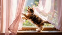 Playful tabby kitten jumping and catching sunlight on wooden windowsill with flowing pink curtains in cozy home interior.