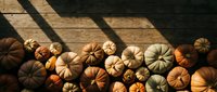 Autumn pumpkins and gourds arranged on rustic wooden deck with dramatic shadow patterns creating seasonal harvest display for fall decorating projects.