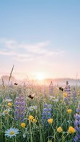 Wildflower meadow at sunrise with bumblebees pollinating purple lupines, yellow dandelions, and white daisies. Misty morning landscape for nature and environmental designs.