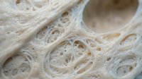 Close-up of sliced bread interior showing open crumb structure with air pockets and soft texture, suitable for food photography, baking content, and culinary publications.