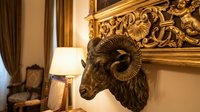 Decorative bronze ram head sculpture mounted on wall in luxury interior with gold ornamental frame, lamp and curtains, adding classical elegance to home decor.