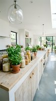 Bright modern kitchen with white cabinetry, wooden countertop, potted herbs and plants, glass pendant light, and natural daylight from large windows and skylight.