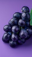 Fresh dark purple grapes with green leaf on purple background, macro shot showing detailed texture and natural bloom on grape skin surface. Suitable for wine and food industry.
