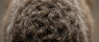 Close-up macro shot of natural brown wool yarn texture, showing soft curly fibers and organic earthy tones for textile and craft backgrounds.