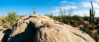 Desert landscape with large boulder and saguaro cacti under blue sky with white clouds in Arizona wilderness area for outdoor adventure concepts.