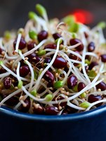 Fresh sprouted mung beans and lentils in dark blue ceramic bowl, macro food photography showing tender white sprouts and green shoots with dark beans.