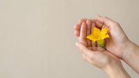Hands holding bright yellow flower against neutral beige background, symbolizing care, growth, hope and environmental awareness for wellness and nature concepts.