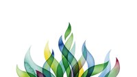 Abstract colorful leaves arrangement in green blue yellow tones on white background isolated for eco design projects and nature themed graphics.