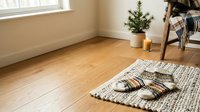 Cozy living room corner with wooden flooring, woven area rug, striped slippers, potted evergreen plant, wooden chair with blanket, and natural window light for home decor and interior design.