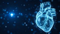 Digital wireframe human heart with glowing blue particles on dark background for medical technology and healthcare innovation concepts.