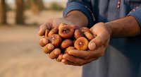 Male farmer with dark skin tone holding fresh onions in cupped hands outdoors, displaying harvest produce for agriculture, farming, and food industry use.