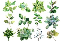 Watercolor botanical set of green succulents and leaves isolated on white background, perfect for wedding invitations, greeting cards and digital design.