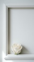 Single white rose placed in empty white picture frame creating minimalist romantic composition for wedding invitations and love concepts.