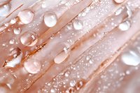 Delicate pink feather with crystal clear water droplets creating natural moisture texture for spa wellness and beauty concepts.