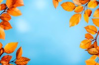 Vibrant orange autumn leaves frame bright blue sky background creating natural border design, seasonal fall foliage composition with copy space in center.