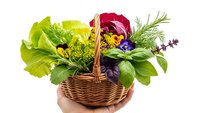 Fresh herbs and edible flowers in wicker basket held by hands on white background, organic gardening harvest for culinary cooking and natural medicine.