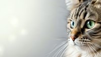Close-up portrait of adorable tabby kitten with striking green eyes and whiskers against soft neutral background for pet care designs.