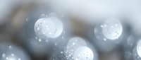 Abstract blurred bokeh lights with soft white and gray tones creating dreamy atmospheric background for design projects and creative presentations.