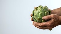 Farmer hands holding fresh green artichoke isolated on white background, suitable for organic produce, agriculture, and food packaging design projects.