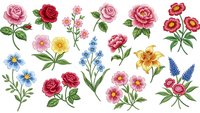 Watercolor floral collection with roses, wildflowers and botanical elements on transparent background for crafting and design projects.