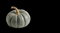 Pale green decorative pumpkin with tan stem isolated on transparent background, ready for t-shirt designs, clipart, stickers, print-on-demand products, and sublimation projects.