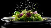 Fresh mixed salad with green lettuce leaves and purple radicchio on black plate with water drops and dramatic lighting against dark background.