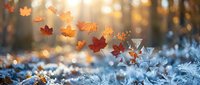 Autumn leaves falling through golden sunlight with magical bokeh effect creating dreamy seasonal atmosphere for nature backgrounds and fall designs.