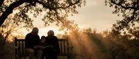 Elderly couple sitting together on park bench under tree at golden hour sunset, romantic silhouette scene for retirement and love concepts.