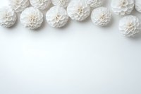 White paper dahlia flowers arranged in row along top border on clean white background, creating minimal composition with copy space below.