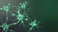 Green glowing neurons with branching dendrites and synaptic connections on dark background for medical and scientific educational content.