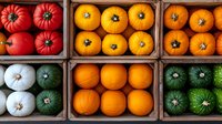 Fresh colorful pumpkins and squash varieties arranged in wooden crates, including red, orange, white and green gourds displayed at farmers market.