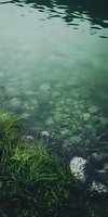Tranquil riverside scene with green grass growing along rocky shore, dark emerald water surface creating moody atmospheric nature background for environmental themes.