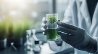 Scientist in protective gloves examining green liquid sample in laboratory test tube against blurred research facility background with natural lighting.
