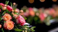 Fresh pink and peach roses with green leaves against dark background, soft focus floral composition with natural bokeh effect creates romantic atmosphere.