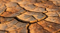 Cracked, parched earth with deep fissures showing drought conditions and soil erosion. Suitable for environmental, climate change, and sustainability projects.