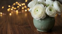 White ranunculus flowers in ceramic vase on wooden table with warm bokeh lights creating romantic atmosphere for wedding decor and special occasions.