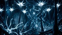 Neural network connections with glowing synapses and branching dendrites in blue tones for medical and scientific presentations.