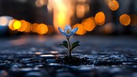 Delicate blue wildflower growing through dark stones at sunset with golden bokeh lights creating magical atmosphere. Nature resilience concept.