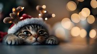 Adorable tabby kitten wearing Santa hat with reindeer toy, Christmas lights bokeh background. Holiday pet portrait for greeting cards and festive decorations.