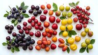 Assorted fresh berries and stone fruits arranged by color including dark grapes, red apples, yellow plums, and red currants with green leaves on white background for food styling and culinary design projects.
