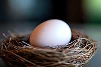 White egg resting in woven nest made of dried straw and twigs, symbolizing new life, fertility, and spring. Suitable for agriculture, Easter, and nature concepts.
