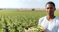 Male farmer of African descent holding basket of fresh green beans in agricultural field during harvest season.