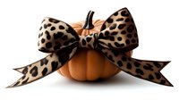 Orange pumpkin decorated with large leopard print bow ribbon on white background, seasonal autumn decor for Halloween and Thanksgiving celebrations.